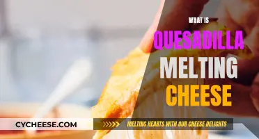 Cheese Pulls: Quesadilla Melting Cheese Explained