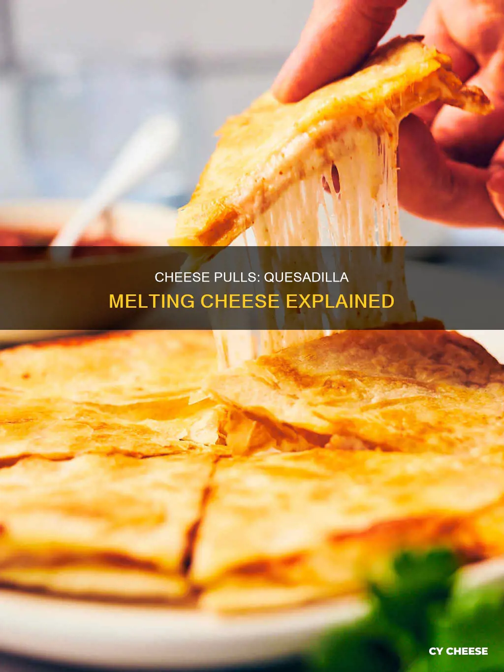 what is quesadilla melting cheese