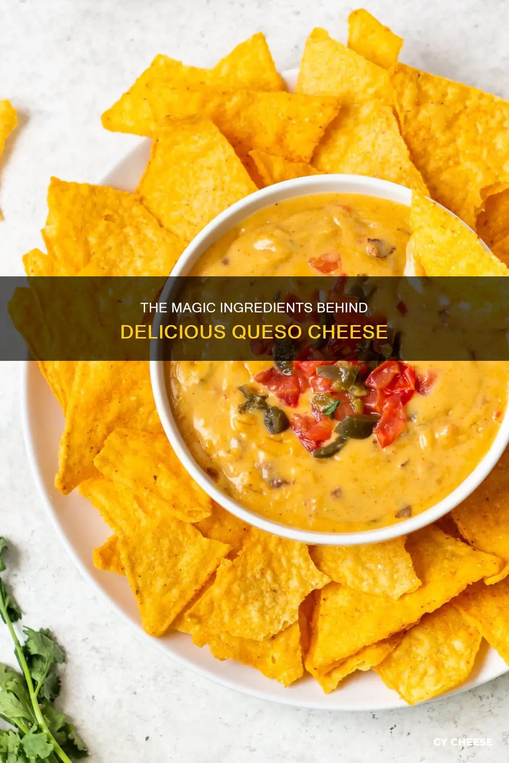 what is queso cheese made out of