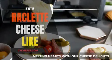 Raclette Cheese: A Tasty Swiss Adventure