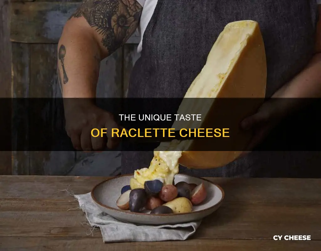 what is raclette cheese like