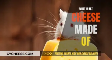 Rat Cheese: What's the Mystery Ingredient?