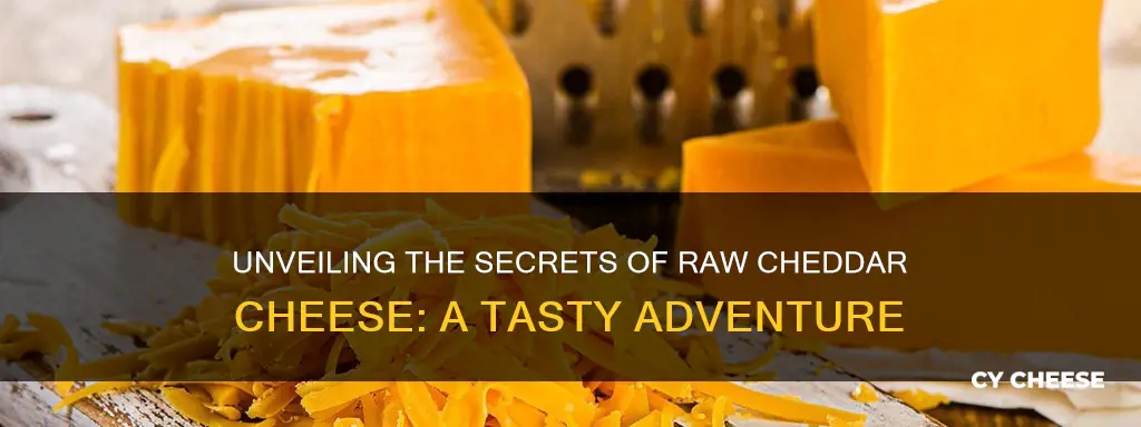 what is raw cheddar cheese