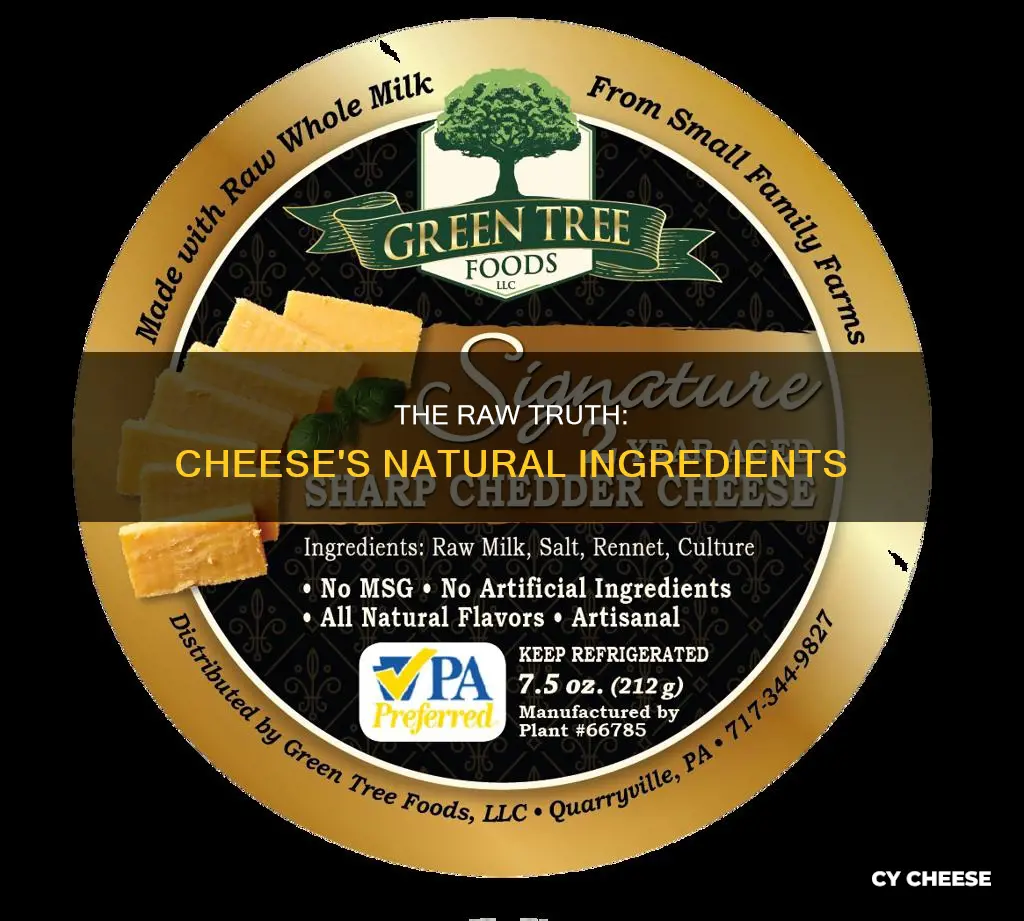 what is raw cheese made of