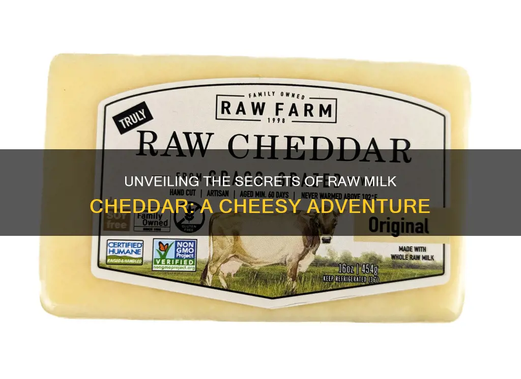 what is raw milk cheddar cheese