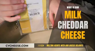 Raw Milk Cheddar Cheese: What's the Difference?