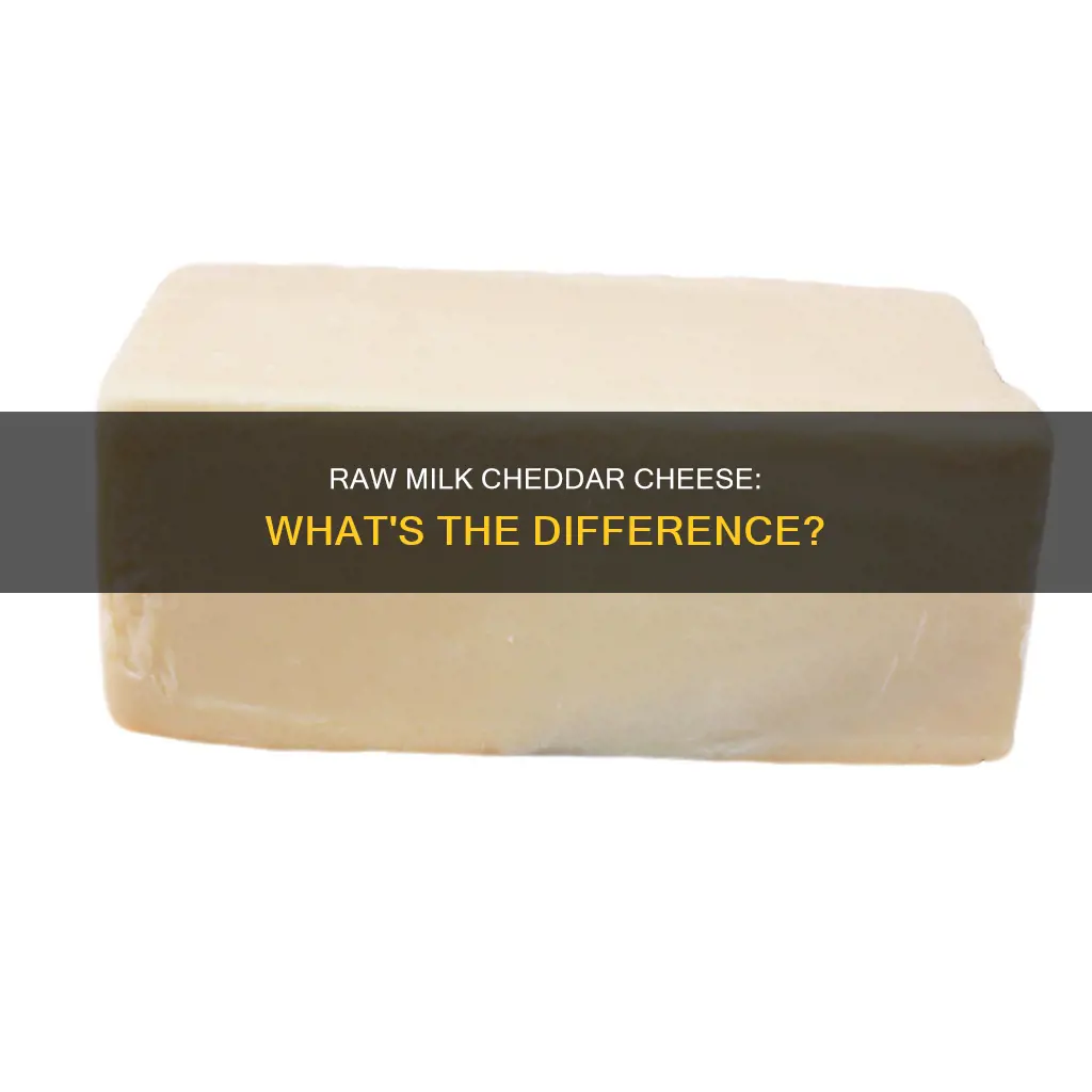 what is raw milk cheddar cheese