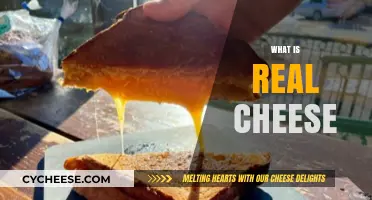Unveiling the Truth: What Makes Real Cheese Truly Authentic?