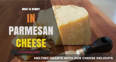 Rennet's Role in Parmesan Cheese Perfection