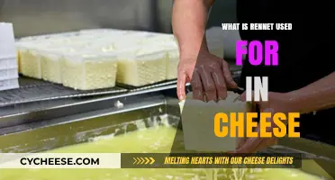 Rennet's Role in Cheese Making