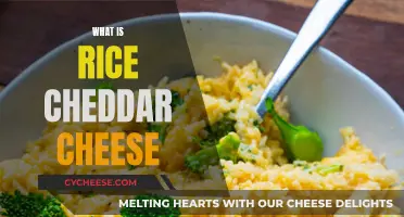 Exploring the Delicious World of Rice Cheddar Cheese