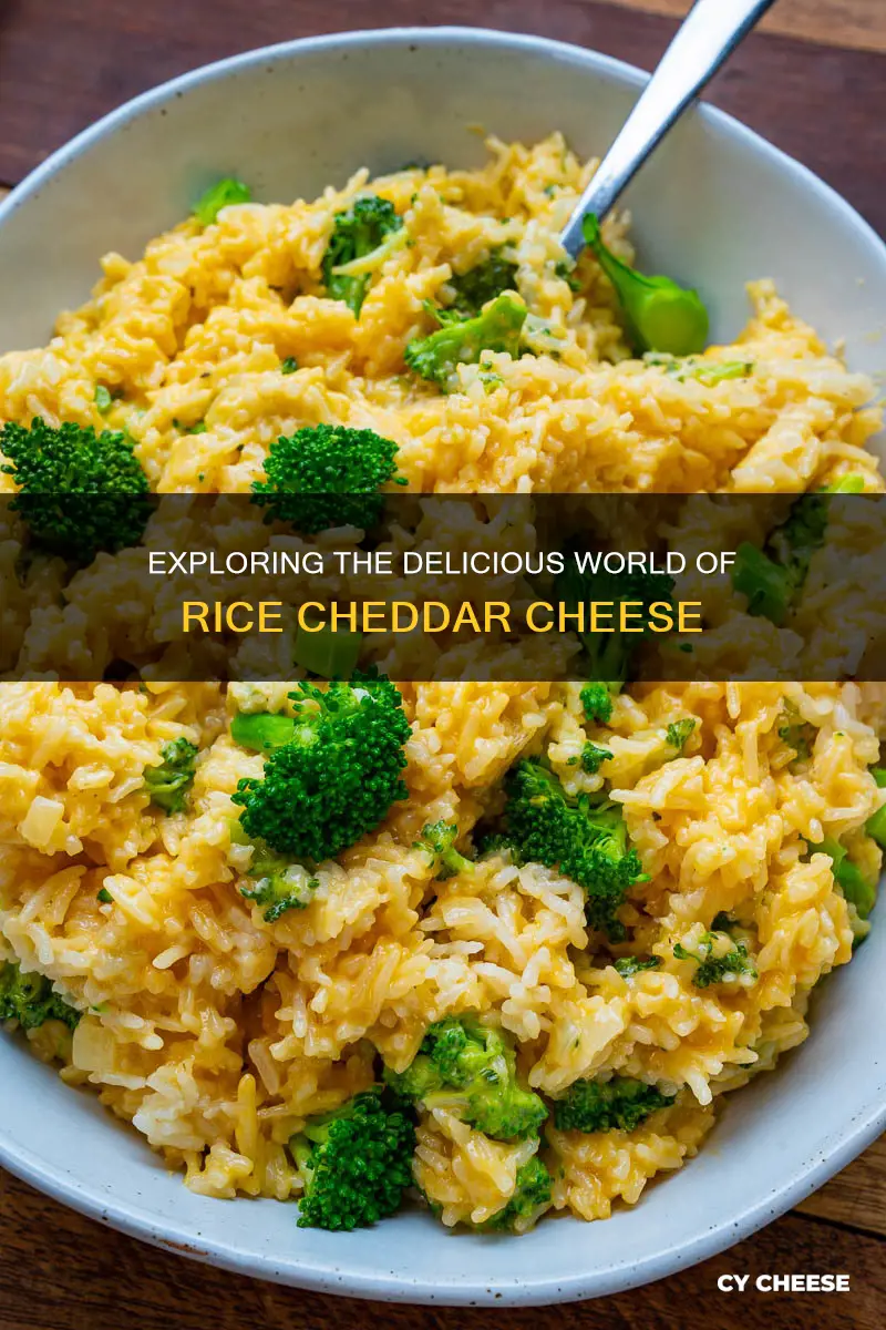 what is rice cheddar cheese