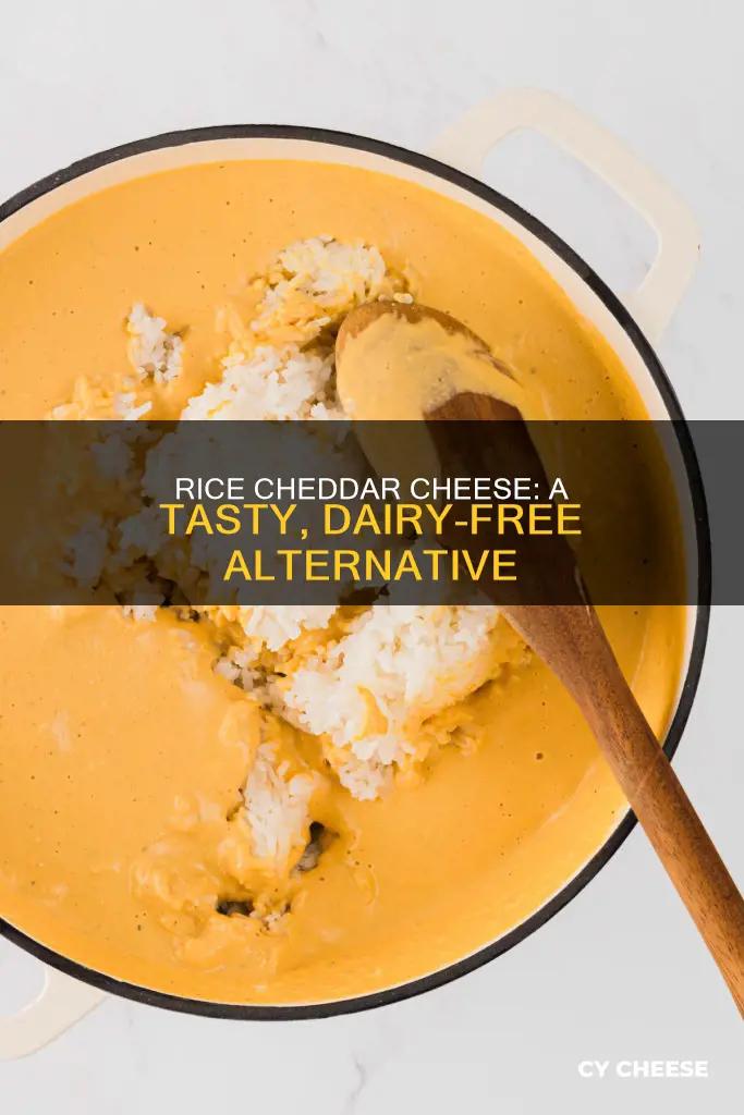 what is rice cheddar cheese