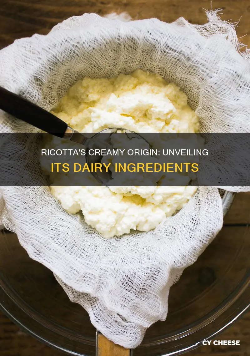 what is ricotta cheese made of