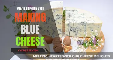 The Art of Ripening: Crafting Blue Cheese Perfection