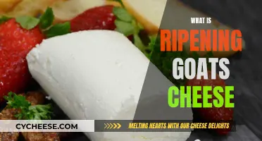 Goat Cheese Ripening: The Art of Aging Cheesy Goodness