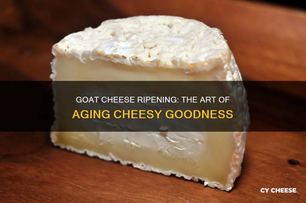 what is ripening goats cheese