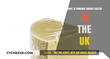 Romano Cheese in the UK: Uncovering Its British Name and Uses