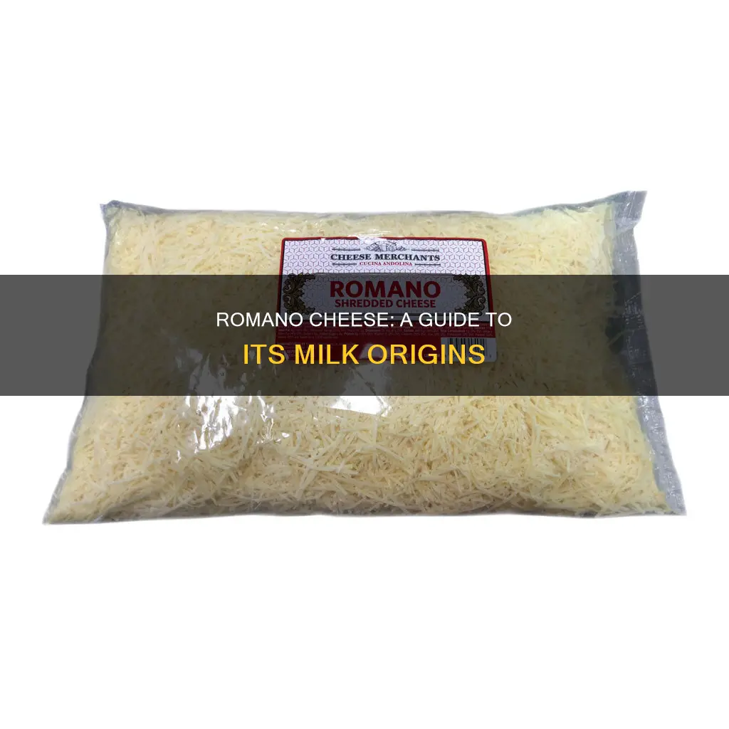 what is romano cheese made from