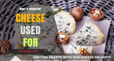 The Magic of Roquefort Cheese in Cooking