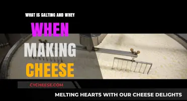 Understanding Salting and Whey: Essential Steps in Cheese Making
