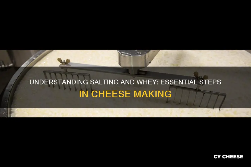 what is salting and whey when making cheese