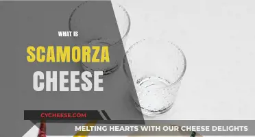 Discover the Rich Flavor and Versatility of Scamorza Cheese
