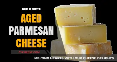 The Magic of Shaved Aged Parmesan Cheese