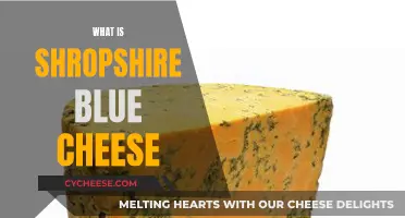 Shropshire Blue Cheese: A Distinctive English Treat