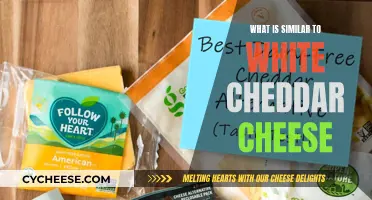 Exploring the World of Mild Cheeses: Alternatives to White Cheddar