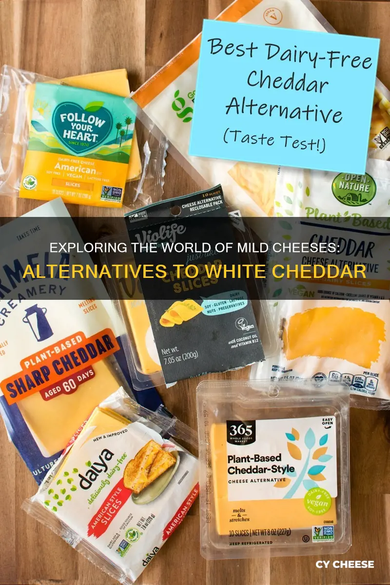 what is similar to white cheddar cheese