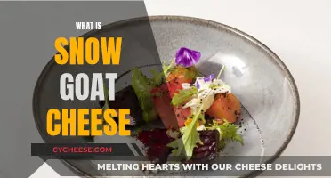 Unveiling the Mystery: Snow Goat Cheese Explained