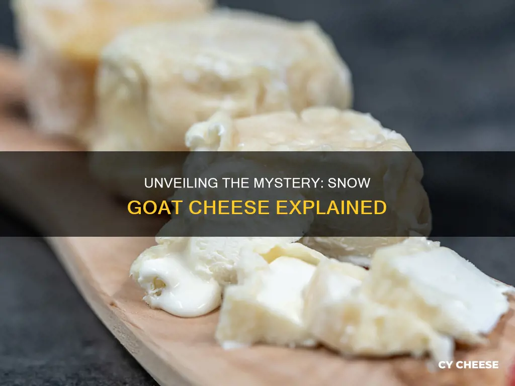 what is snow goat cheese