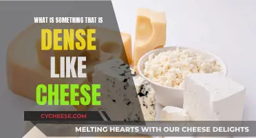 Dense Delicacy: Exploring the Richness of Cheesy Textures