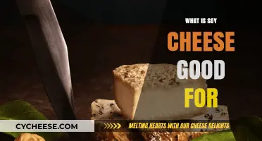 Soy Cheese Benefits: Uses, Nutrition, and Dairy-Free Alternatives Explained