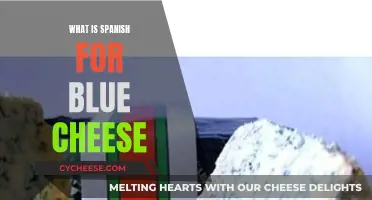 The Savory Translation: Blue Cheese in Spanish