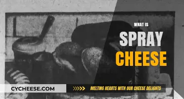 What is Spray Cheese? A Fun, Easy-to-Use Snack Explained
