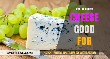 Stilton Cheese Benefits: Uses, Recipes, and Health Advantages Explained