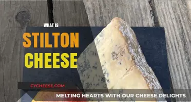 Discovering Stilton Cheese: History, Flavor, and Culinary Uses Explained