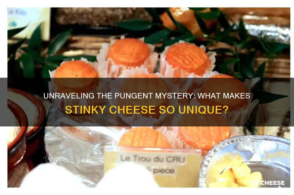 what is stinky cheese