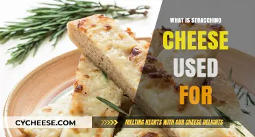 Stracchino Cheese: Uses and Applications