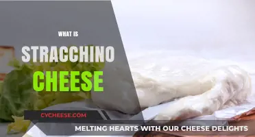 Discover Stracchino Cheese: Its Origin, Flavor, and Culinary Uses