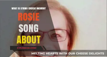 Unraveling the Meaning Behind String Cheese Incident's Rosie Song