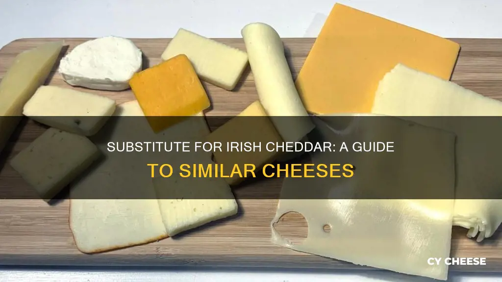 what is sub for irish cheddar cheese