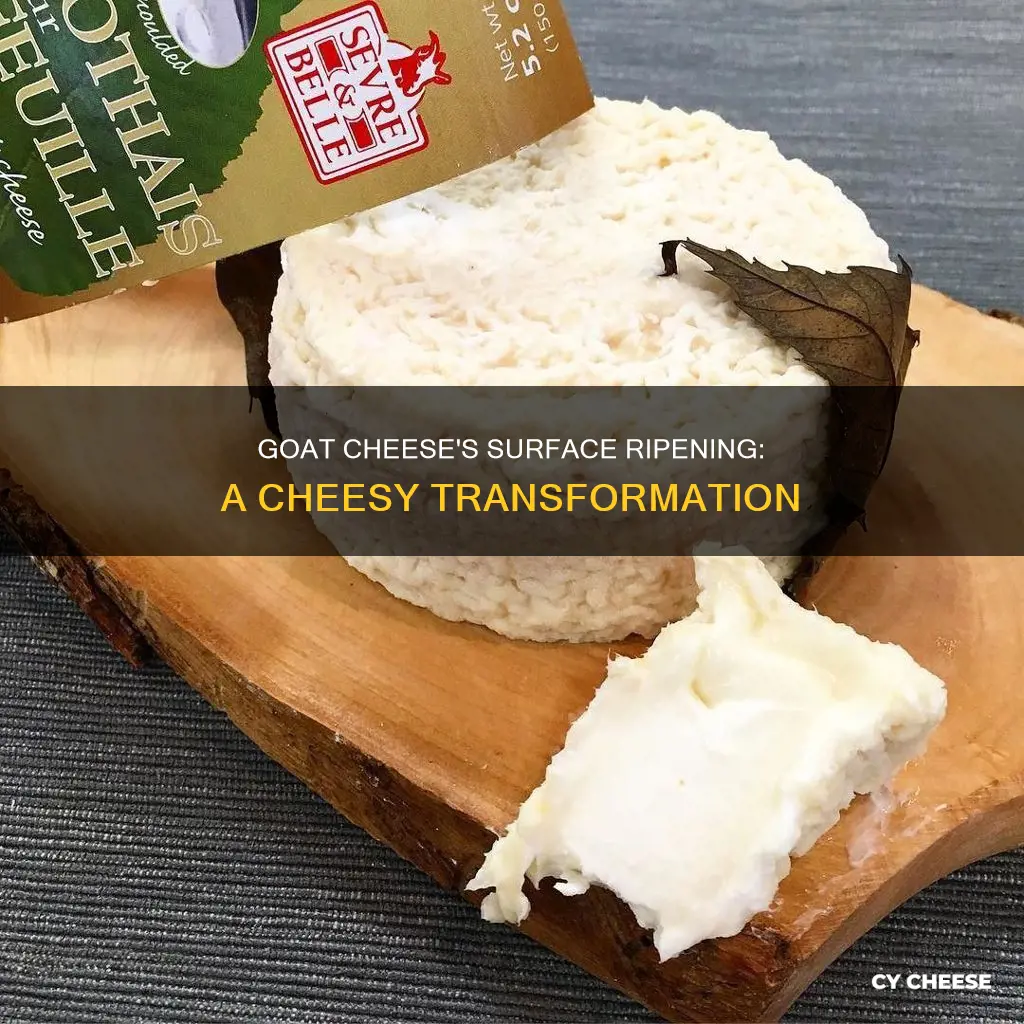 what is surface ripened goat cheese