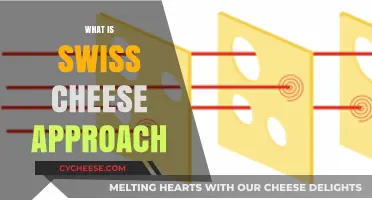 Swiss Cheese Approach: Holes in Security