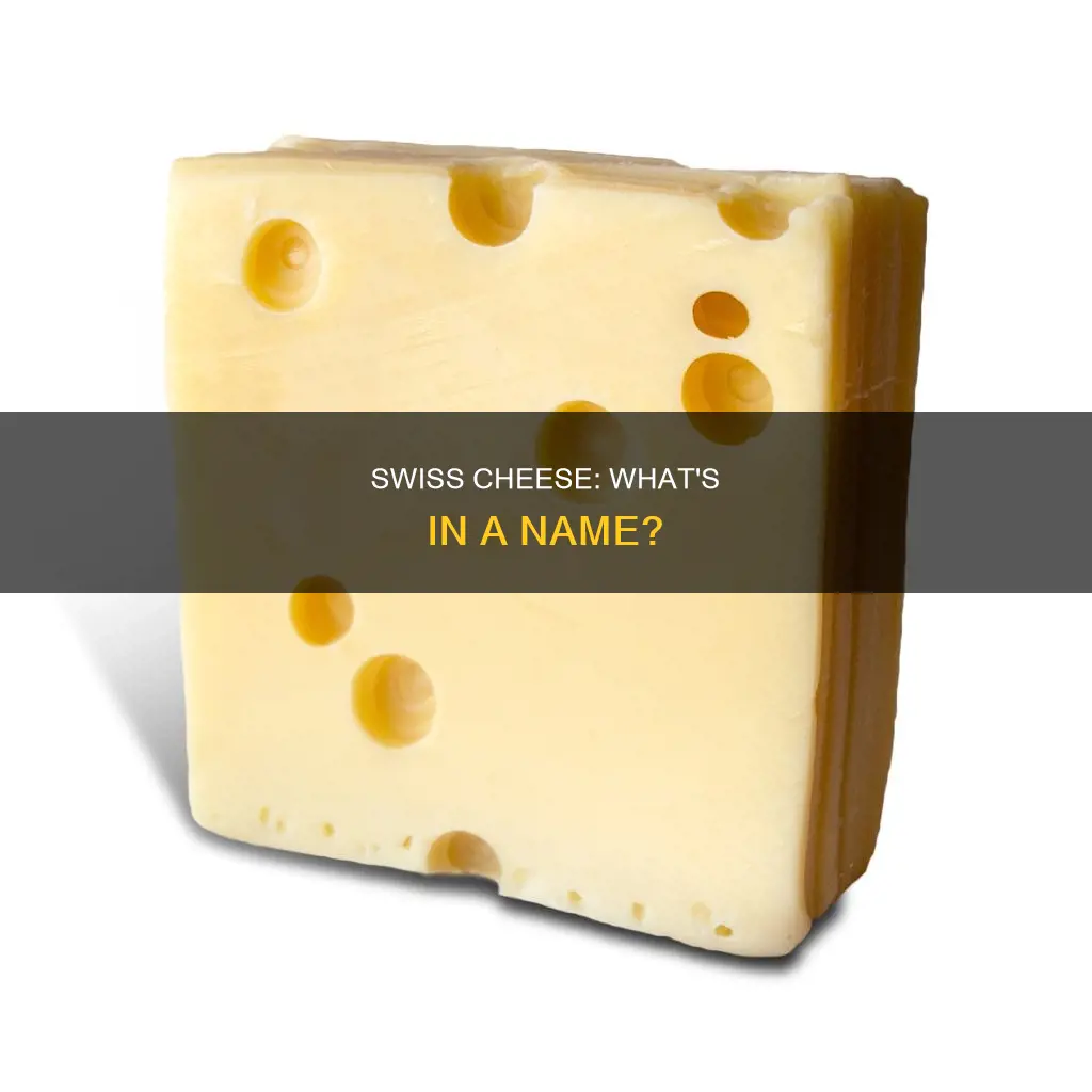 what is swiss cheese clled