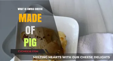 Unveiling the Secrets: Swiss Cheese's Surprising Pig Connection