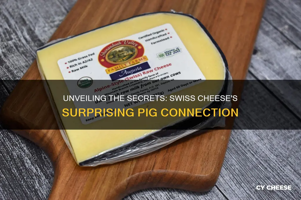 what is swiss cheese made of pig