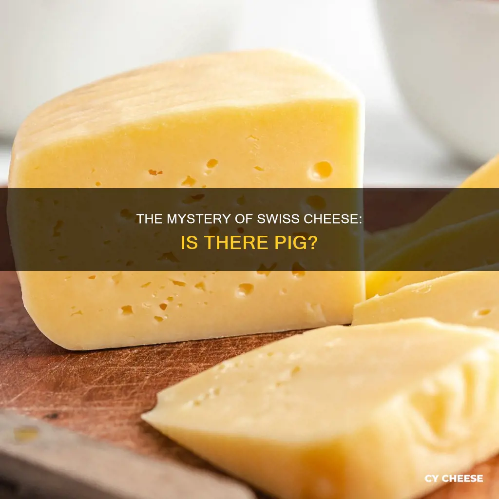 what is swiss cheese made of pig